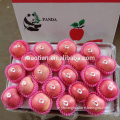 /msite/products/detail/productid/54855536/id/542998.html